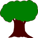 Tree 223