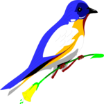 Bluebird 1