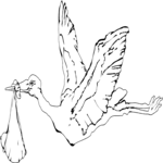 Stork Flying