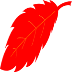 Leaf 080