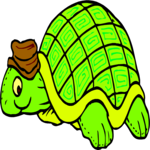 Stuffed Turtle