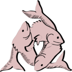 Fish 14