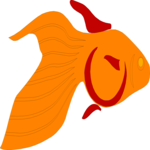 Goldfish 4