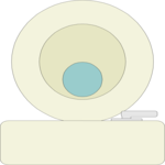 Toilet 1