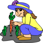 Gardener 19