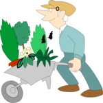 Wheelbarrow with Plants