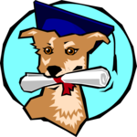 Graduate - Dog