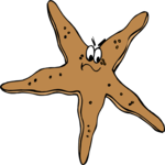 Starfish - Angry