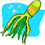 Octopus 06