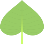 Leaf 010