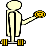 Biceps 13