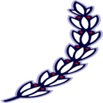 Olive Branch 1