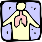 Lungs 1