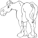 Horse 05