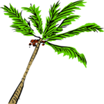 Palm Tree 42