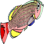 Killifish 04