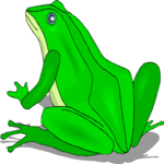 Frog 35