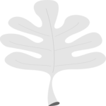 Oak Leaf 1