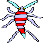 Bug 021