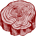 Tree Stump 14