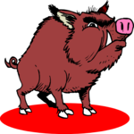 Boar 2