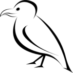 Bird 02