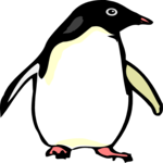 Penguin 05