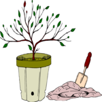 Tree 225