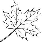 Leaf 027