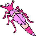 Bug 031