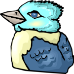 Bluejay 2