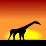Giraffe - Graphic