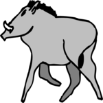 Boar 4