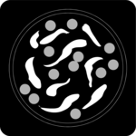 Petri Dish