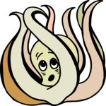 Octopus 11
