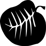 Leaf 088