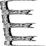Border 049