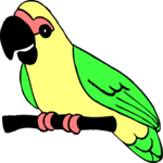 Parrot 14
