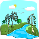 Willow Trees