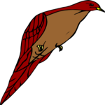 Bird 039