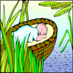 Moses - Baby 2
