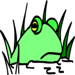 Frog 14