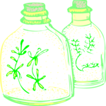 Vinegar 06