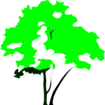 Tree 042