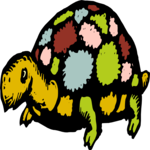 Tortoise 8