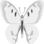 Butterfly 099