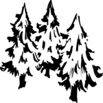 Trees 10