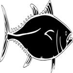 Fish 30