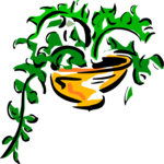 Plant 086