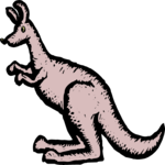 Kangaroo 9